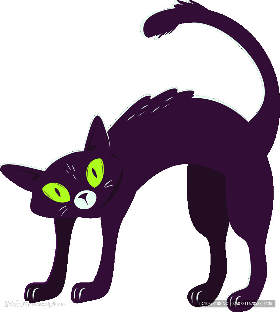 黑猫弓背姿态图