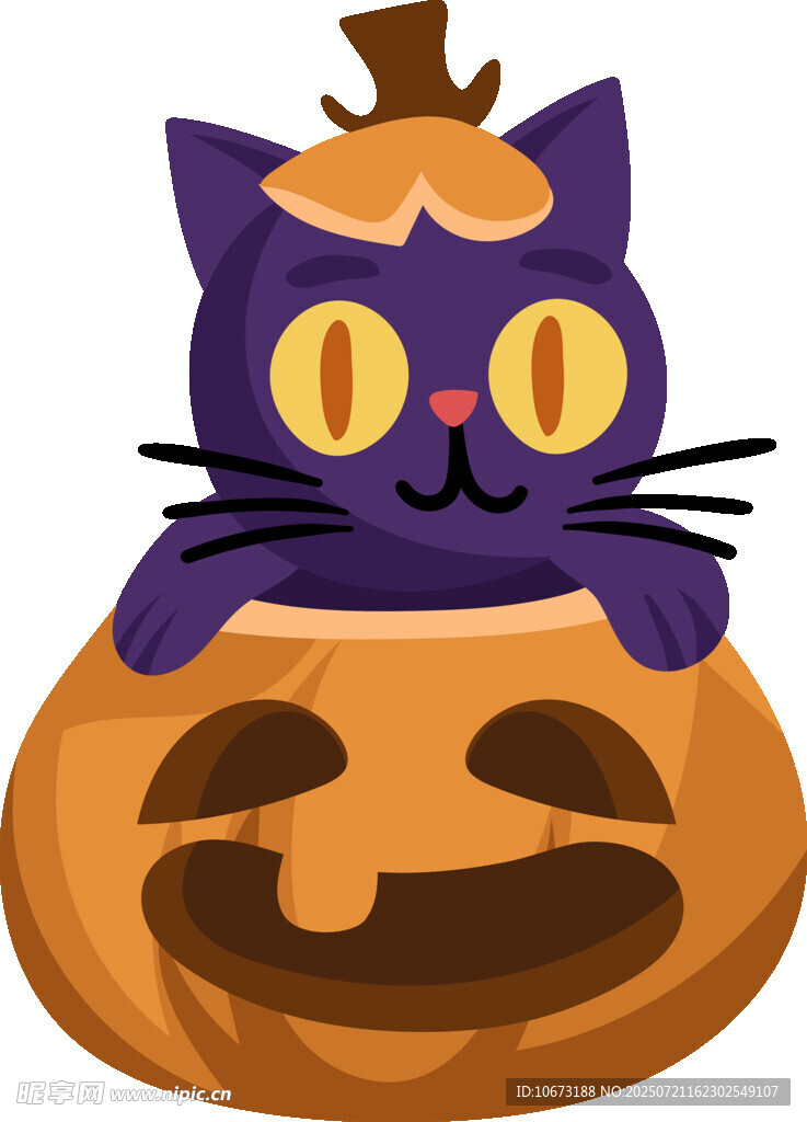 南瓜中的紫猫