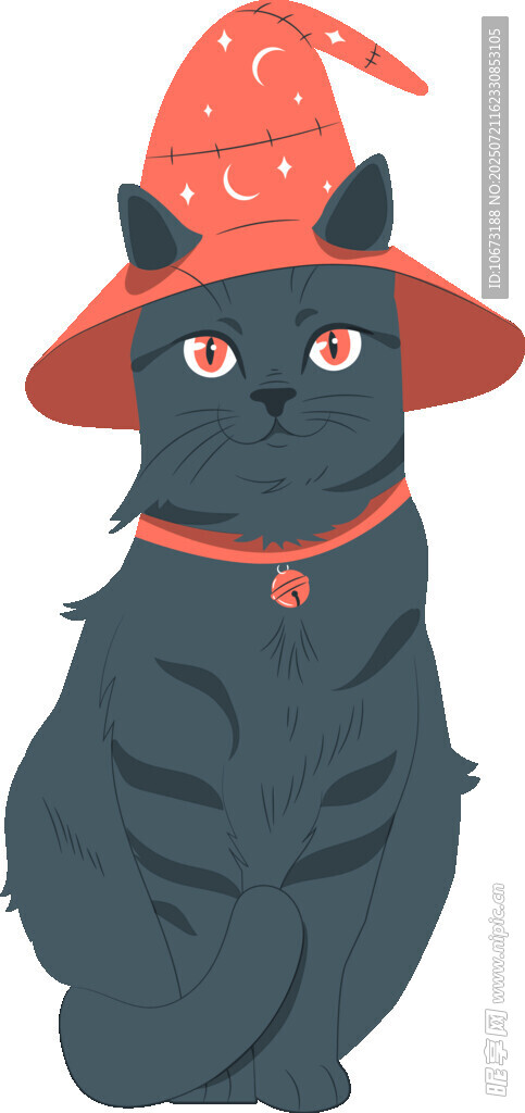 戴帽黑猫