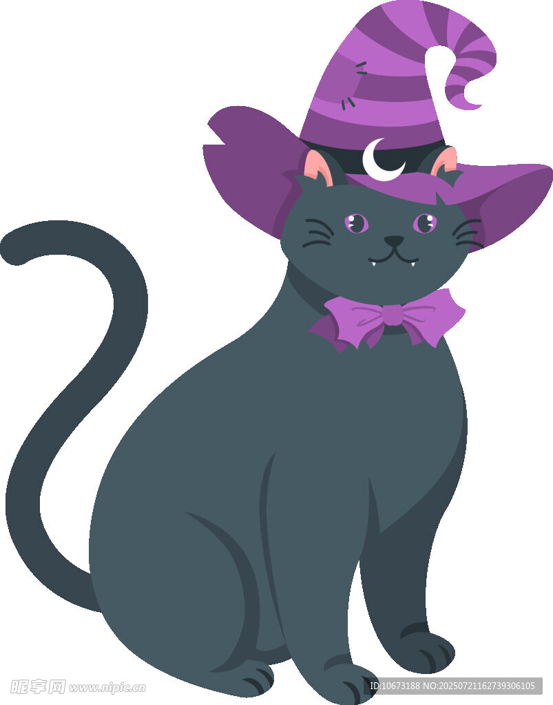 戴巫师帽的黑猫