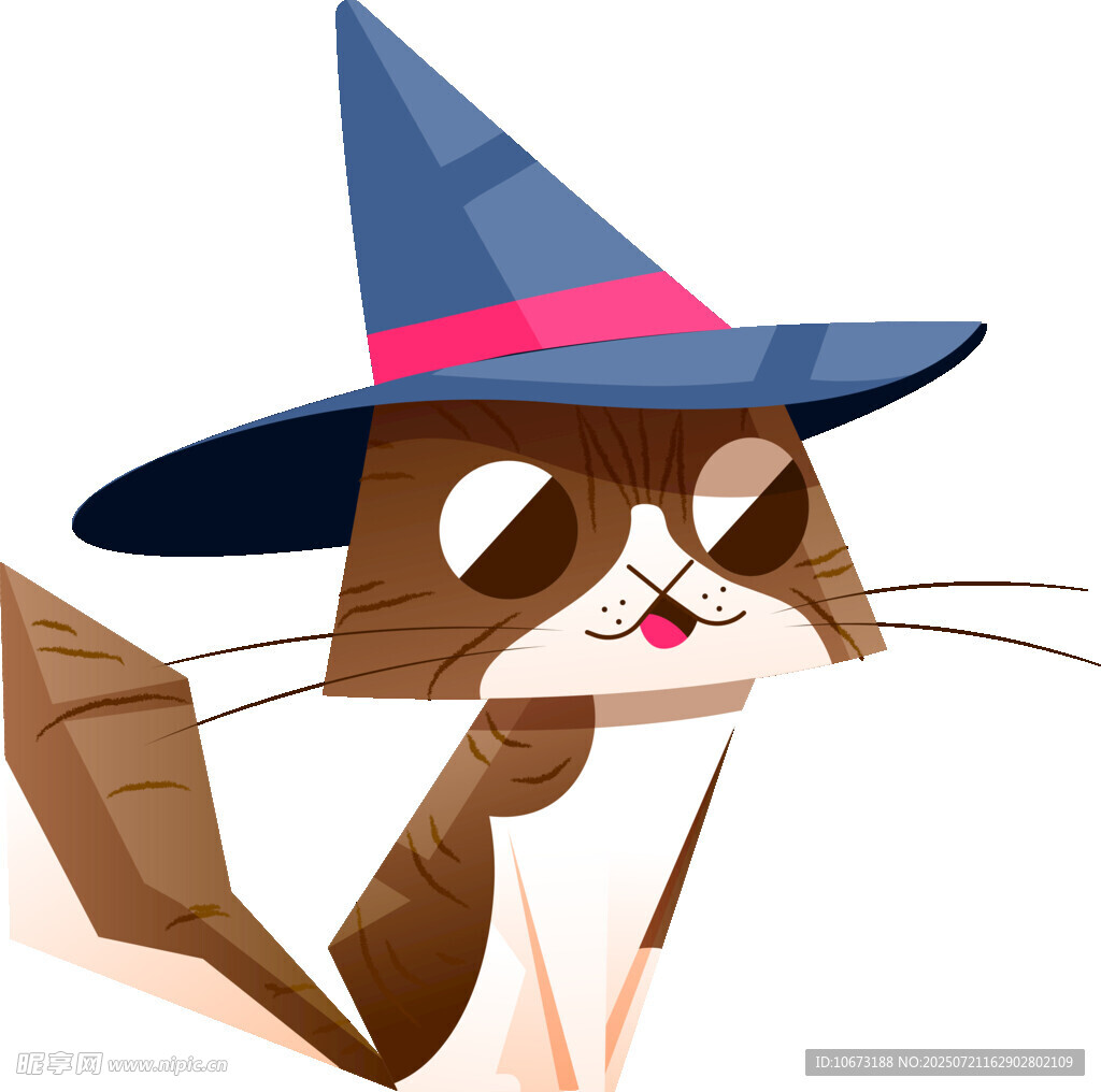 戴巫师帽的俏皮猫咪