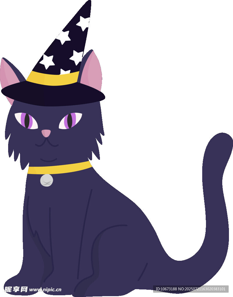戴巫师帽的黑猫