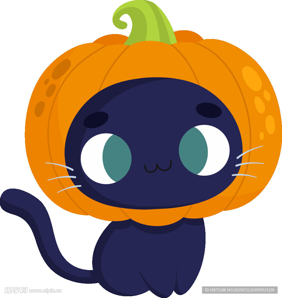 南瓜头黑猫