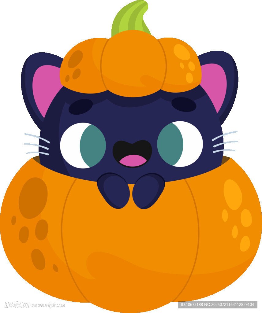 南瓜里的可爱猫咪
