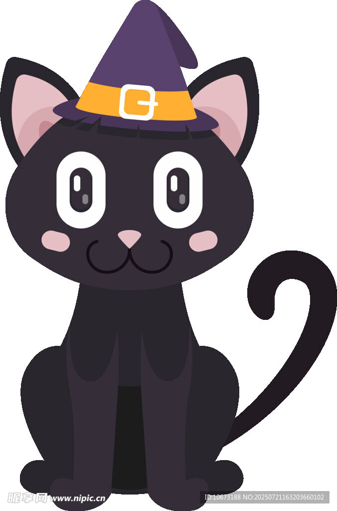 戴巫师帽的可爱黑猫