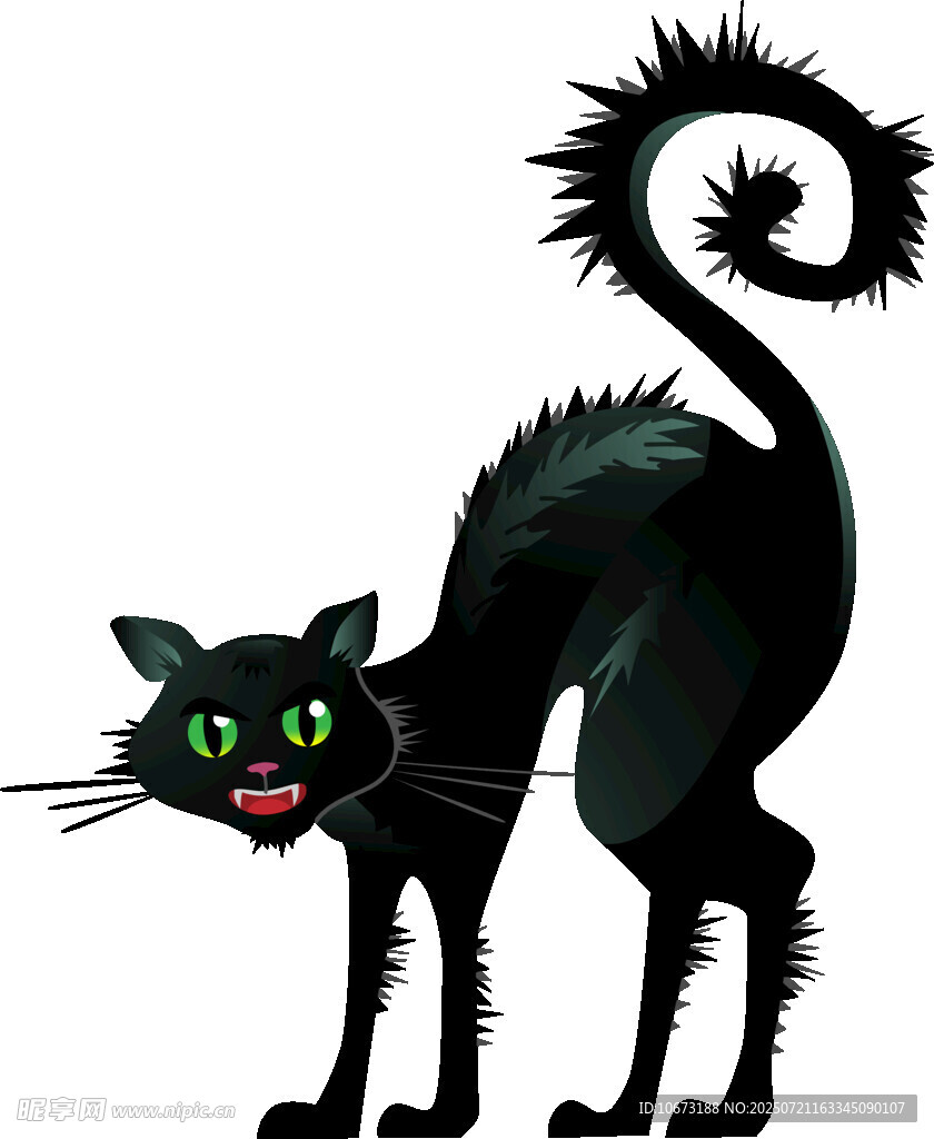 黑猫形象