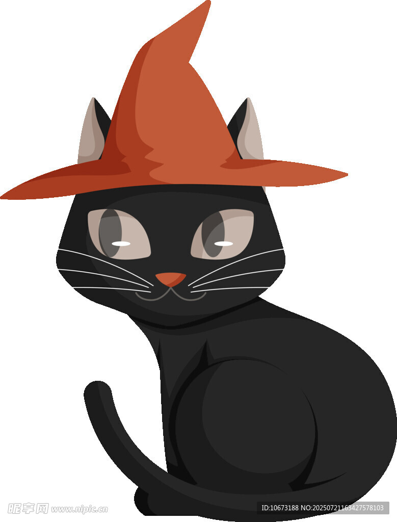 戴巫师帽的黑猫