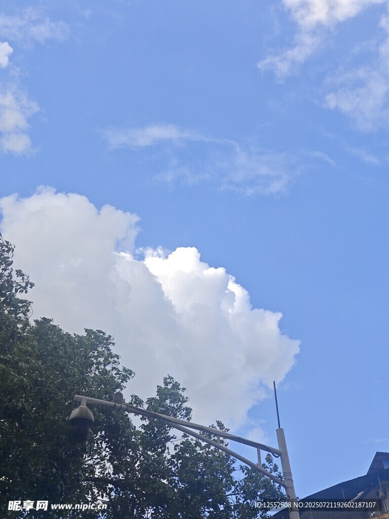 蓝天绿树间的白云