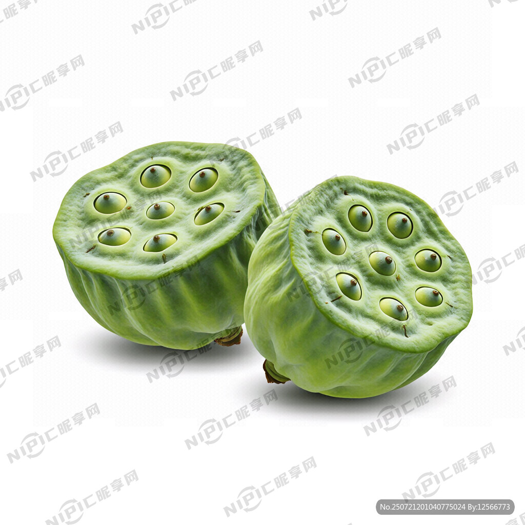 莲子   两颗分开  矢量  