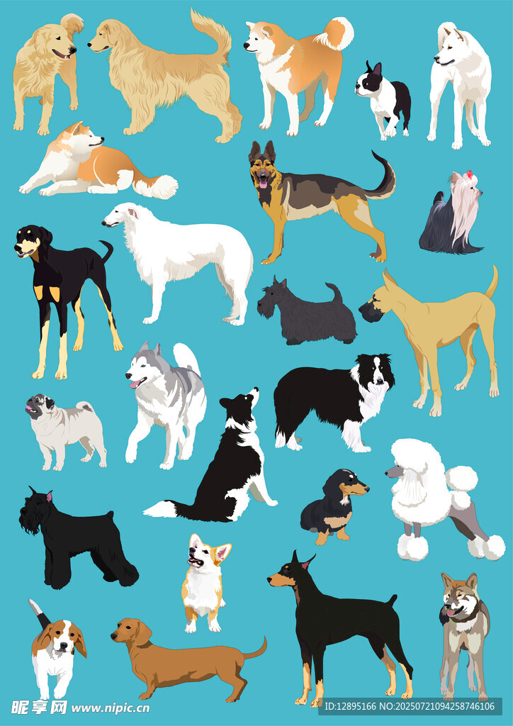 多样萌犬图案集合