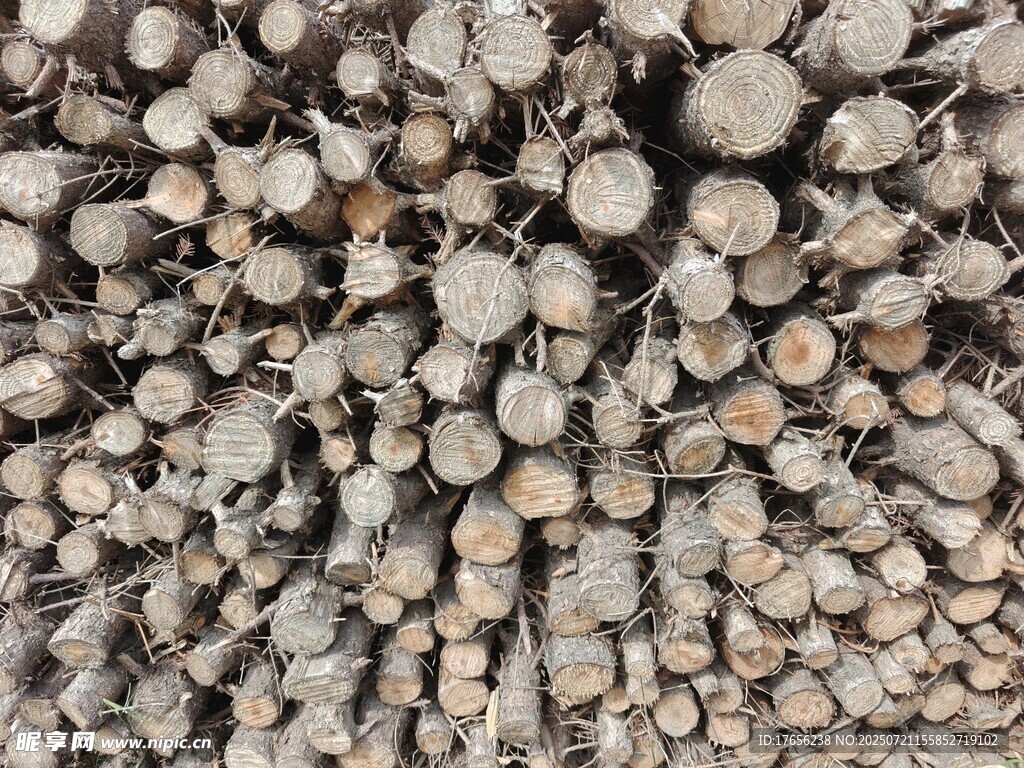 堆积的木材