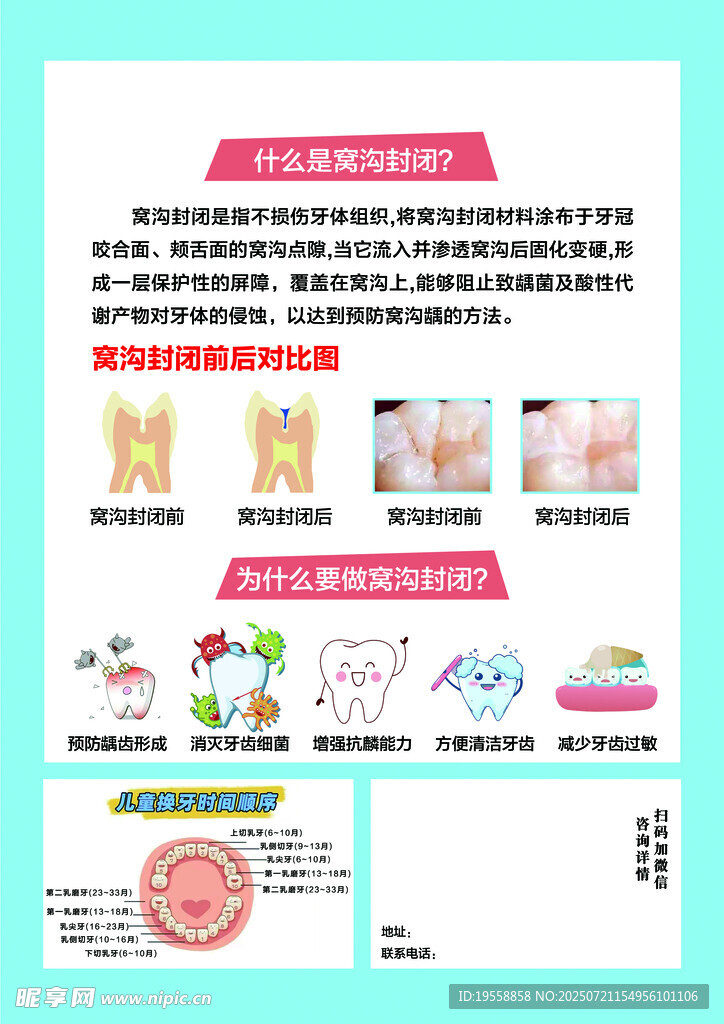 牙齿宣传彩页
