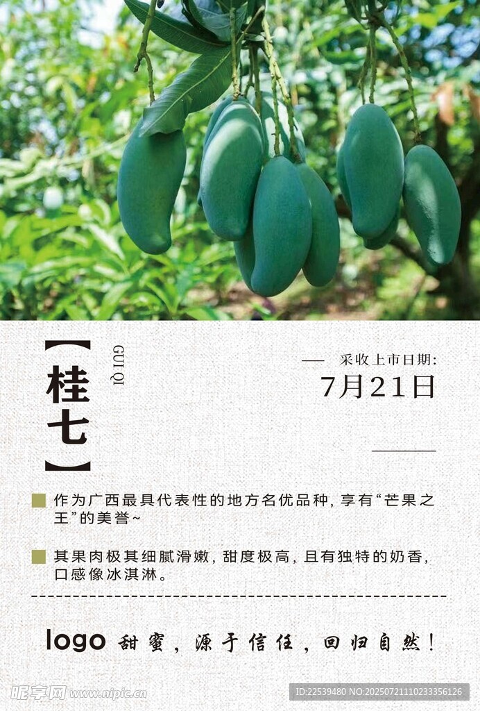 芒果