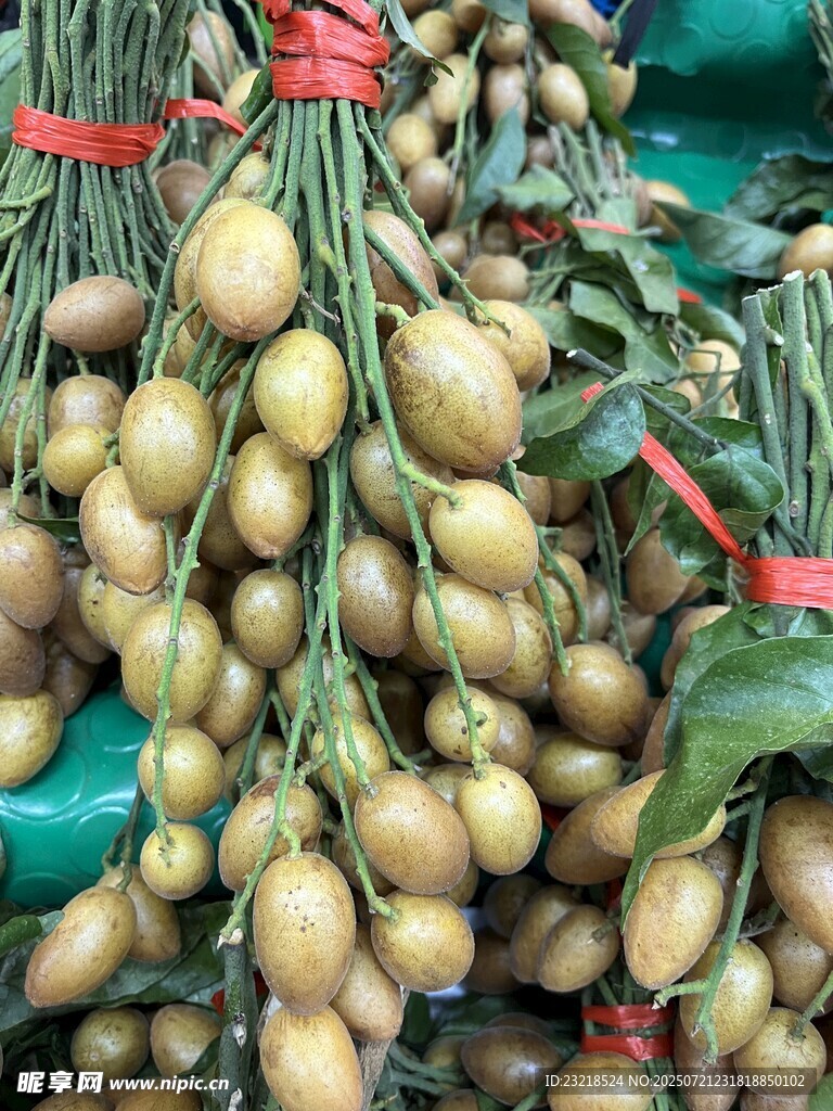 黄皮