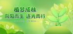 植树