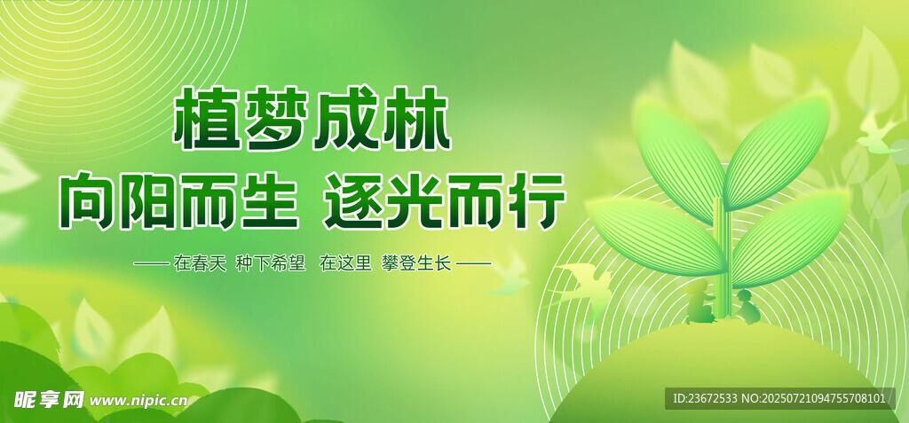 植树