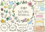 手绘自然植物元素集合