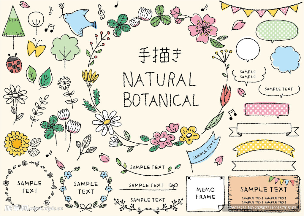 手绘自然植物元素集合