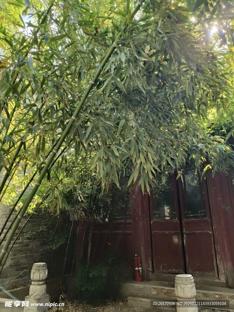 竹林掩映下的古朴建筑