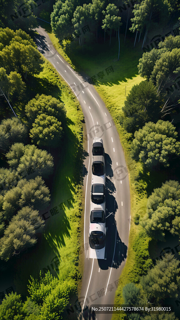 绿色森林 黑色公路 一辆汽车