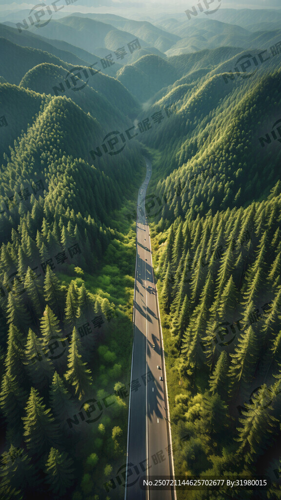 绿色森林 公路 航拍 朝阳