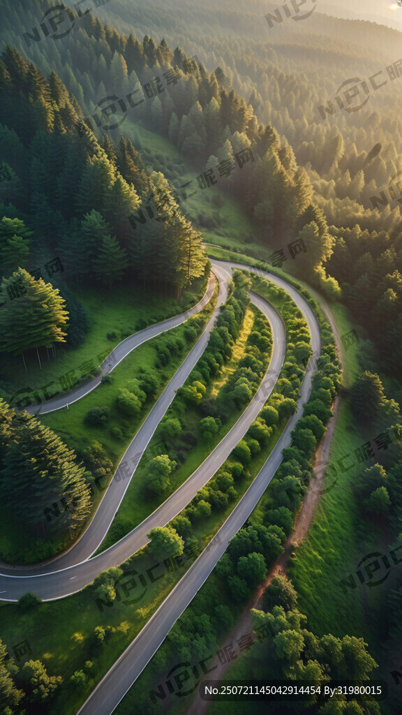 绿色森林 蜿蜒的公路 航拍