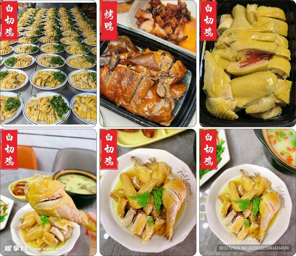 多样美味鸡肉菜肴展示