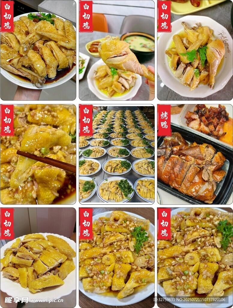 多样美味鸡肉菜肴展示