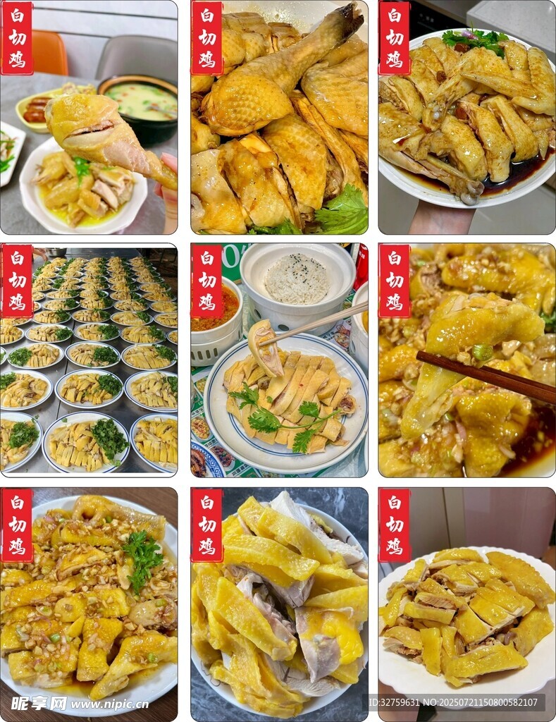 多样美味鸡肉菜肴展示