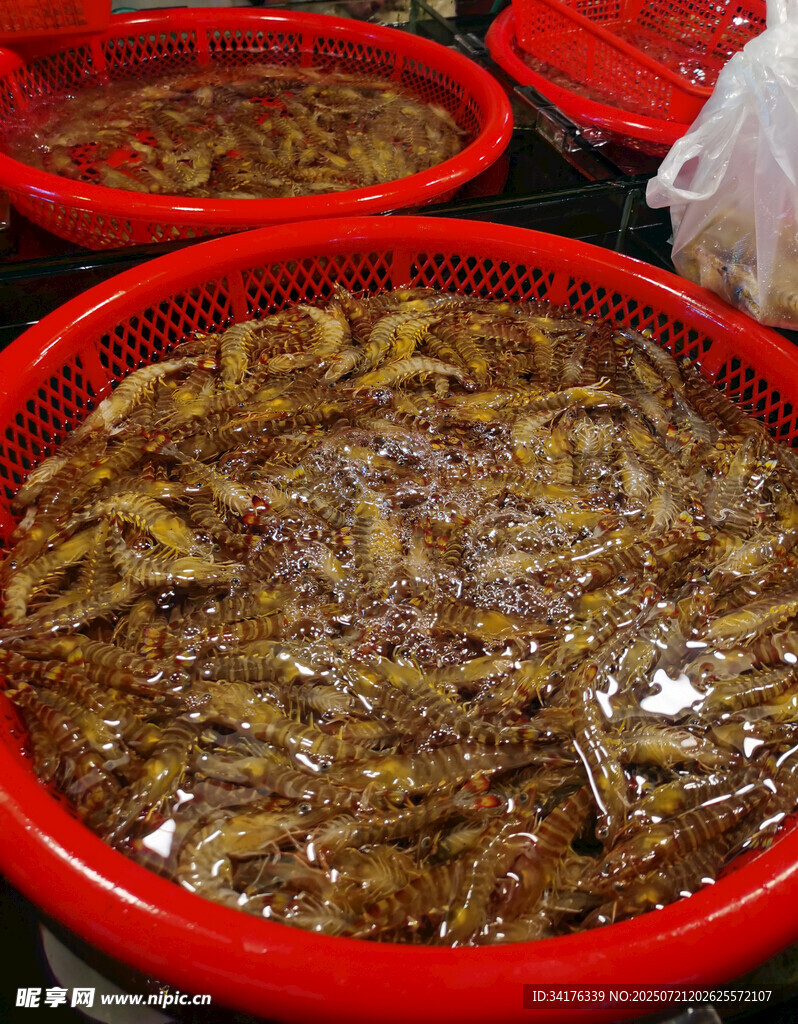 虾