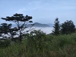 云雾缭绕山景