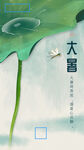 大暑时节荷叶蜻蜓图