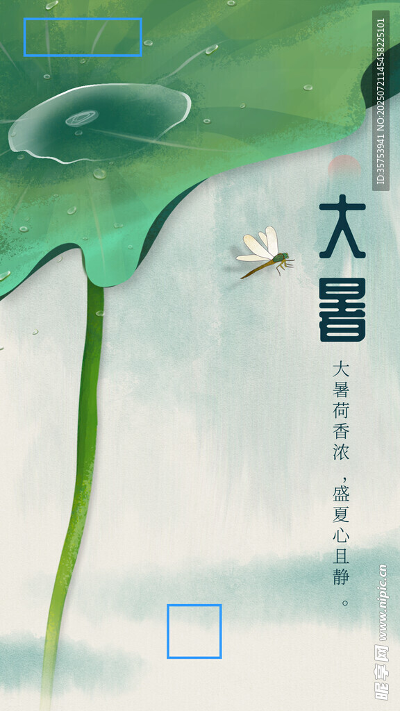大暑时节荷叶蜻蜓图