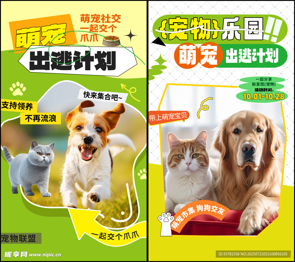 宠物海报