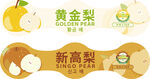 黄金梨与新高梨展示