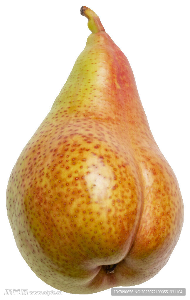 多彩斑点梨