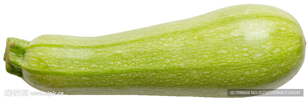 鲜嫩西葫芦