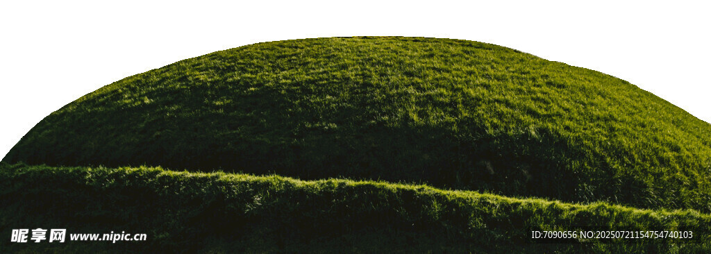 翠绿茶山风景