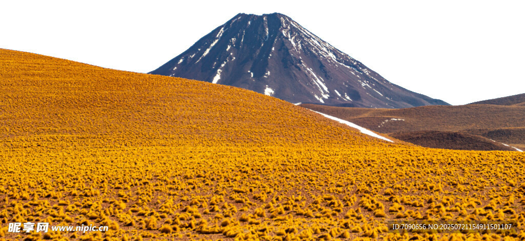 金黄旷野中的巍峨山峰
