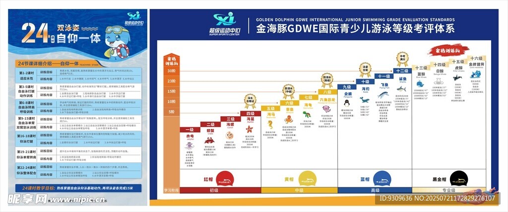 游泳等级