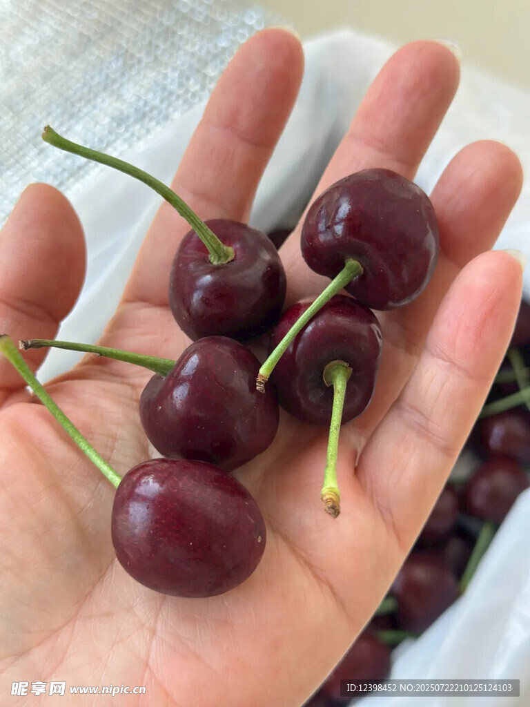 大樱桃