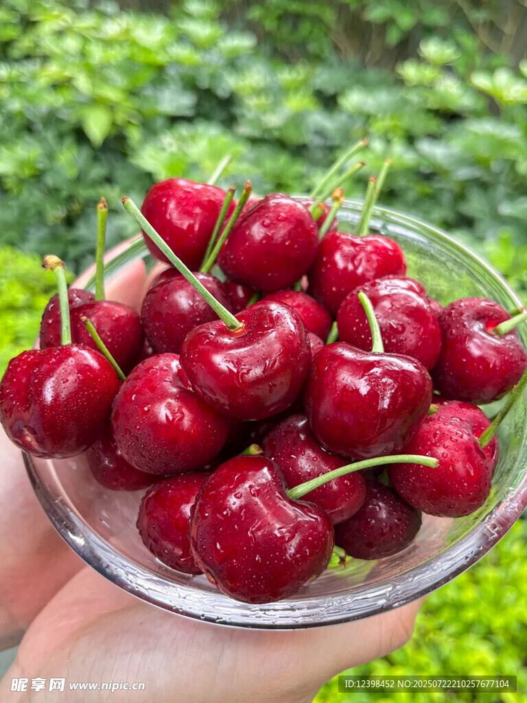 樱桃