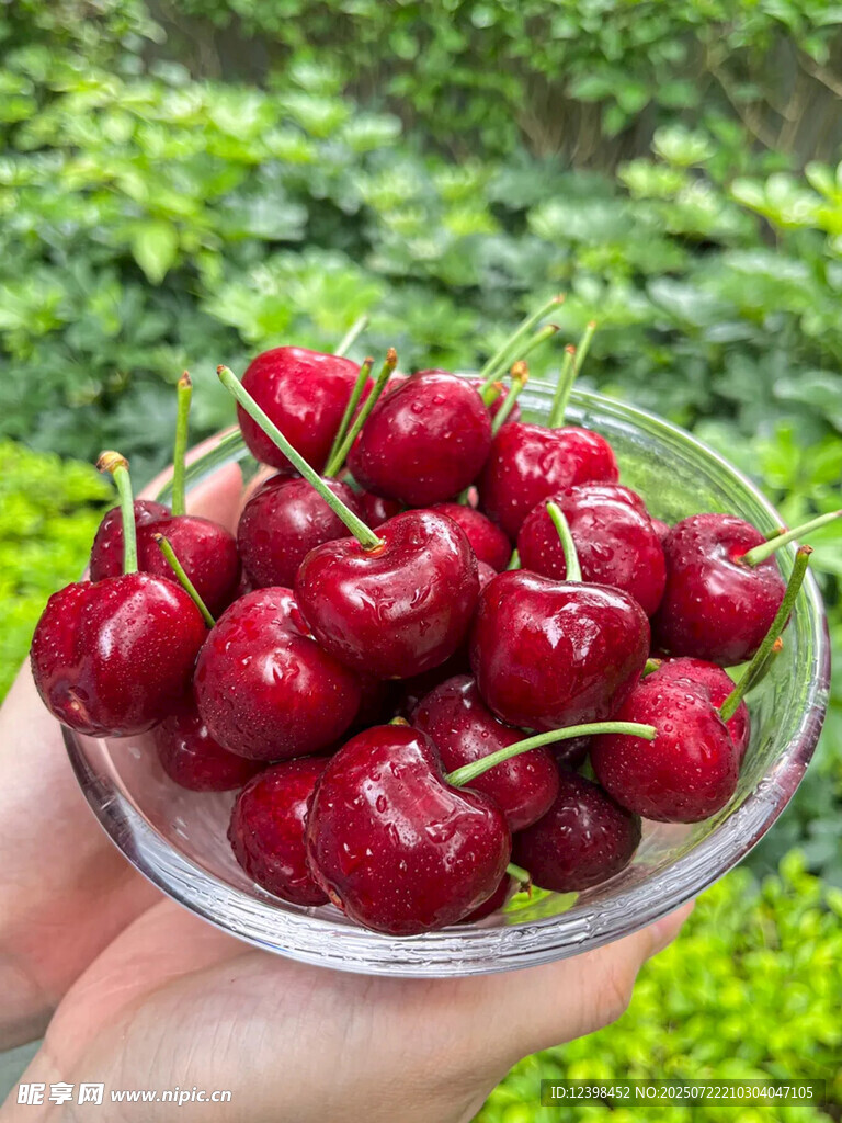 樱桃