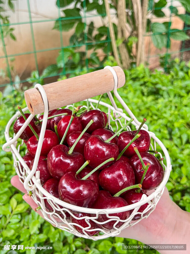 樱桃