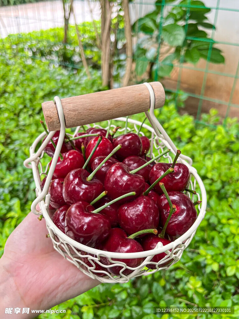 樱桃