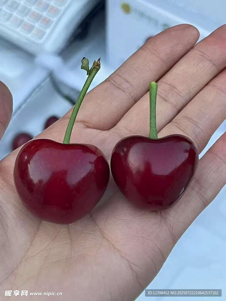 樱桃