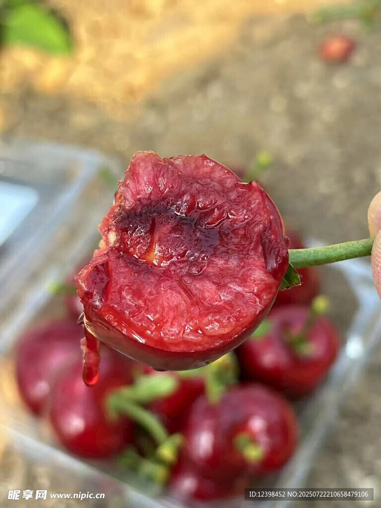 樱桃