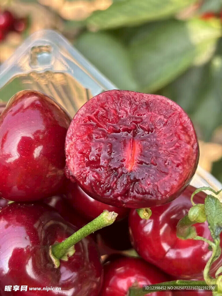 樱桃