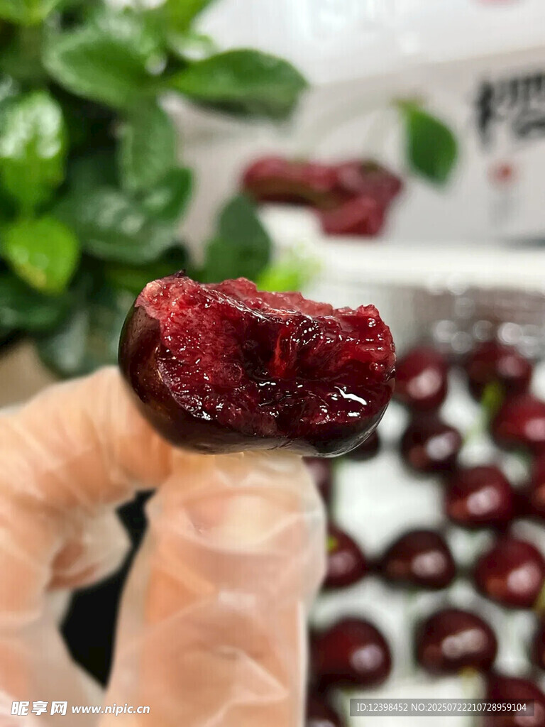 樱桃