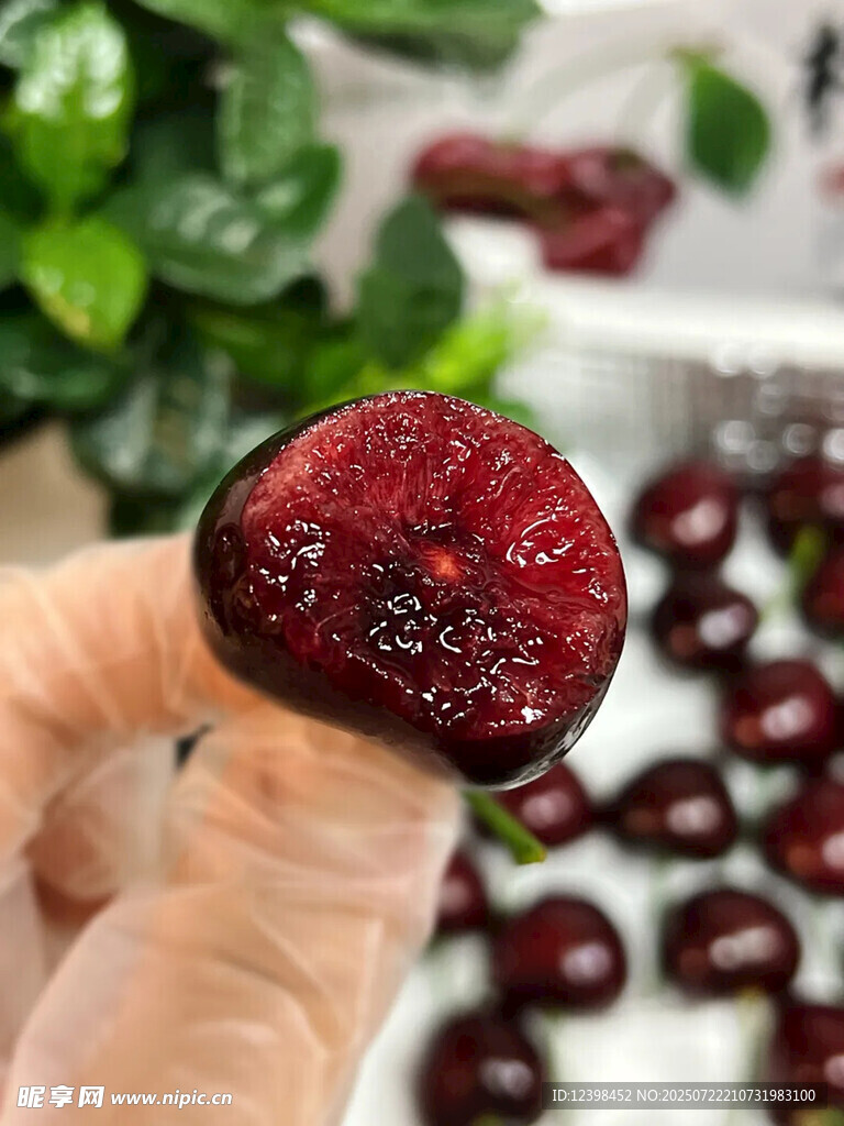 樱桃